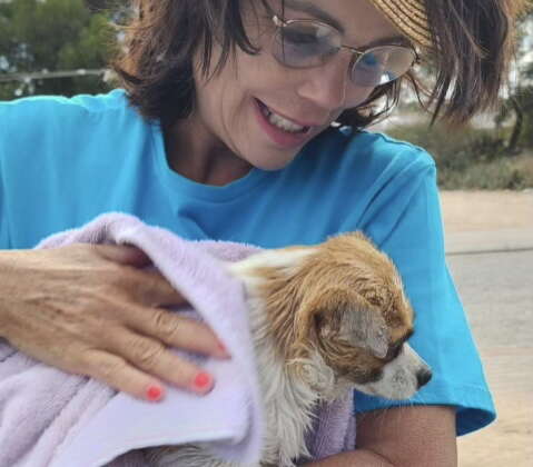 Heartworm: One Bite, One  Infection, That’s Enough