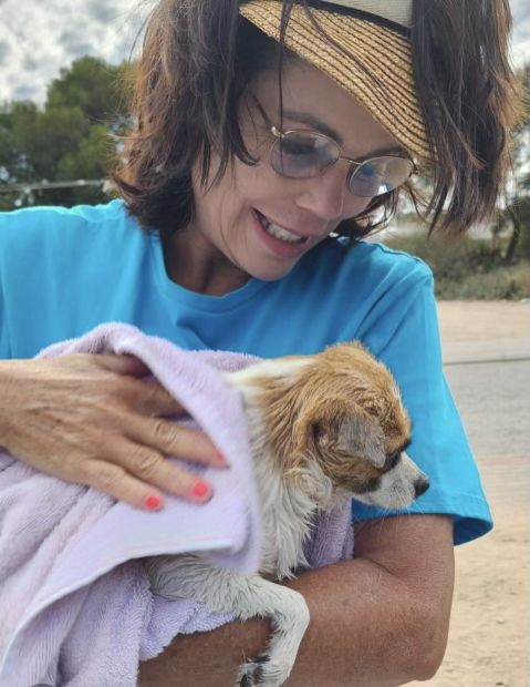 Heartworm: One Bite, One  Infection, That’s Enough