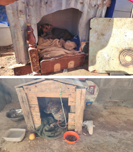 Screenshot 2025-01-17 at 09.23.28