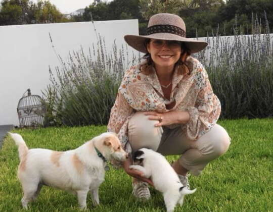 7 Summer Settings Dog  Owners Should Avoid