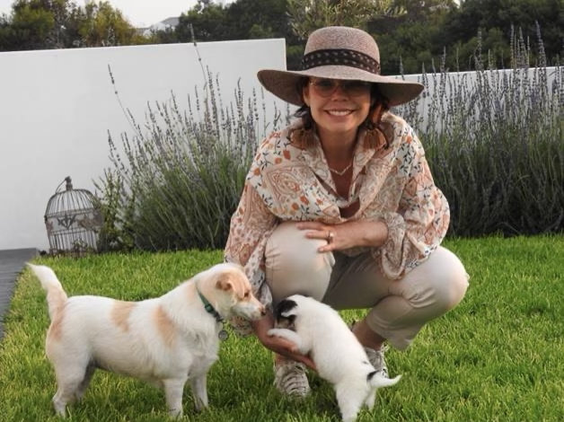 7 Summer Settings Dog  Owners Should Avoid