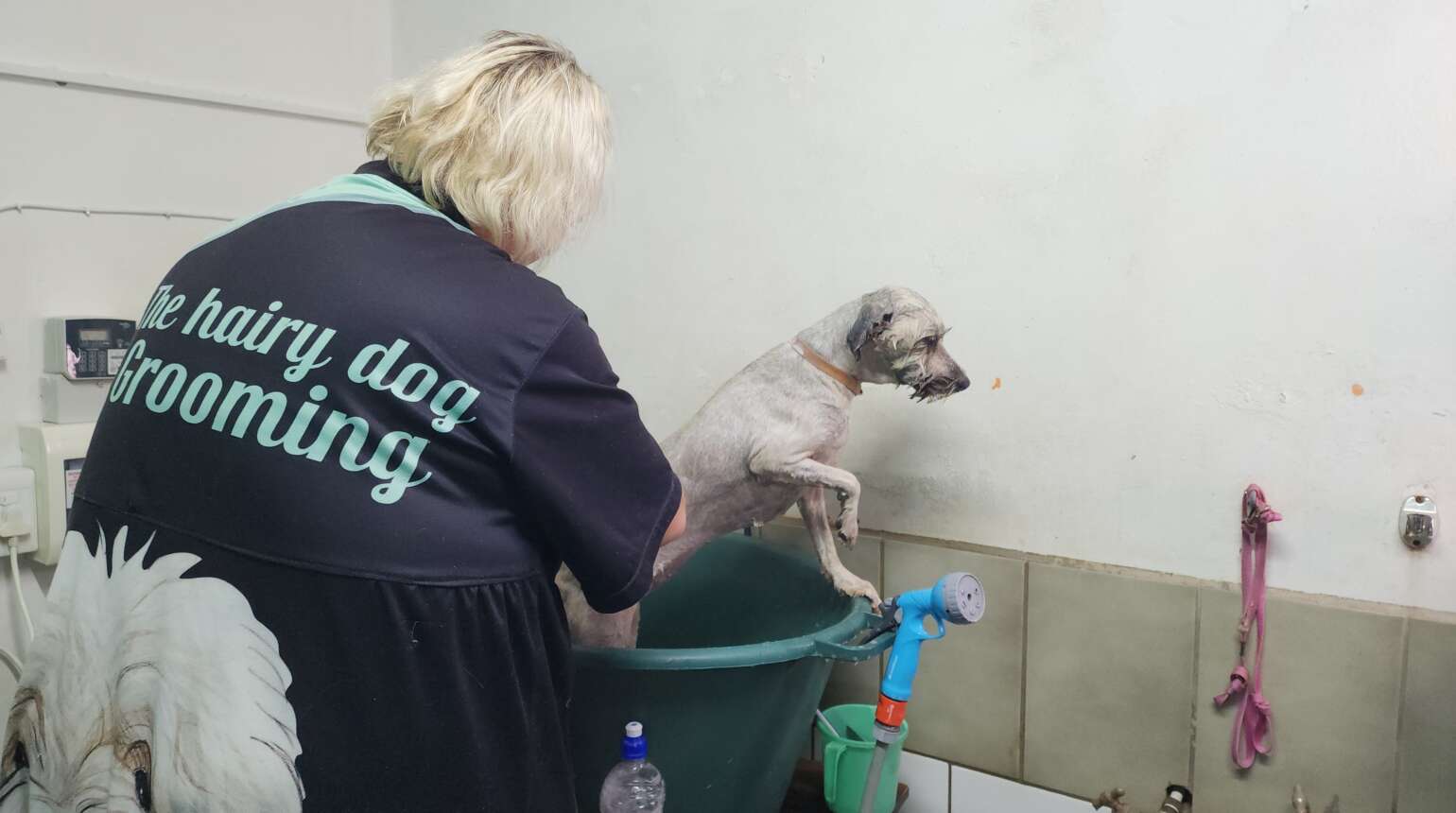 Boarding and Grooming