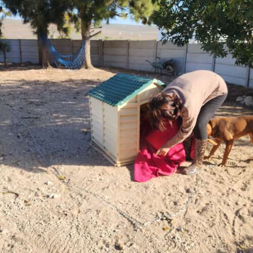 8115d308-edf3-4251-b486-021b8d851a2b