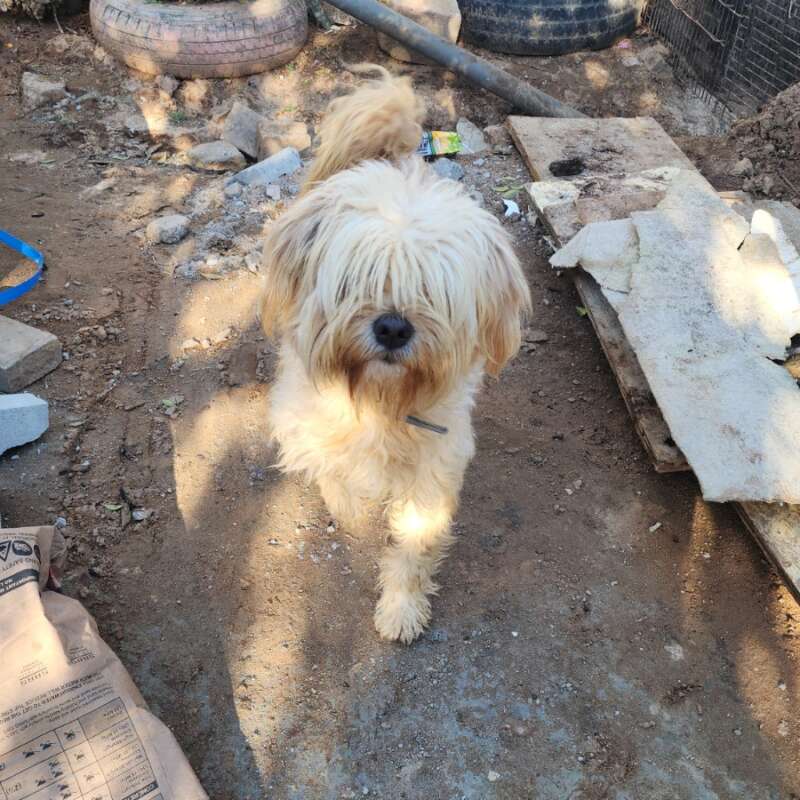 cc3d966b-c04f-46fb-bd12-1f062bc8939d