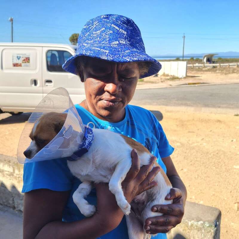 cdff3035-e2b6-491b-8b8d-3663e09c9929