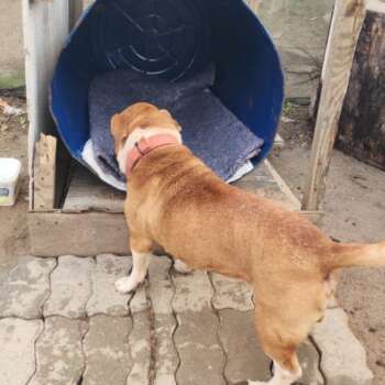 WhatsApp Image 2025-02-04 at 12.57.32 (2)